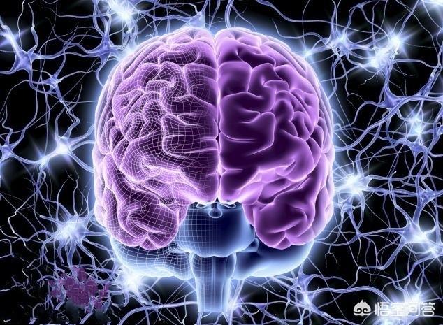 螳螂死后的灵异事件:死人体重实验，证实人是有灵魂存在的，真的假的？