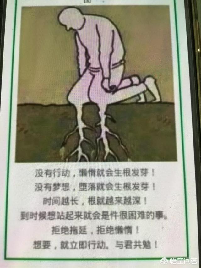 简单快速的减肥方法(减肥最快最有效最简单的方法)