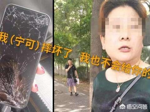 柯基摔狗事件女主人:宁波摔手机事件的后续怎么样了？