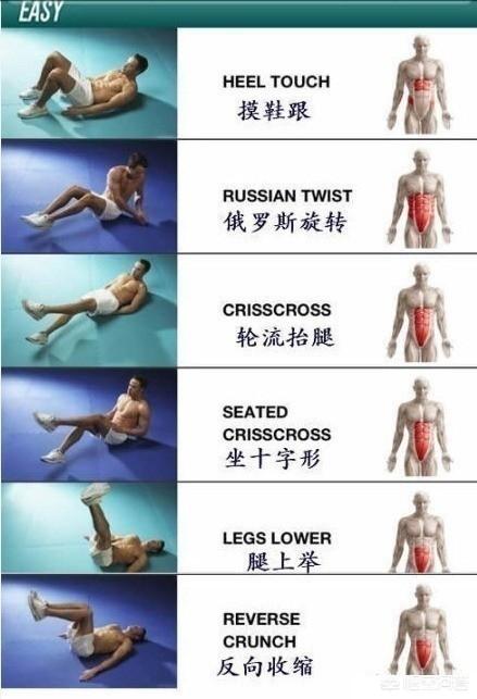 头条问答 - 普通上班族在家如何增重练出腹肌胸肌?(13个回答)