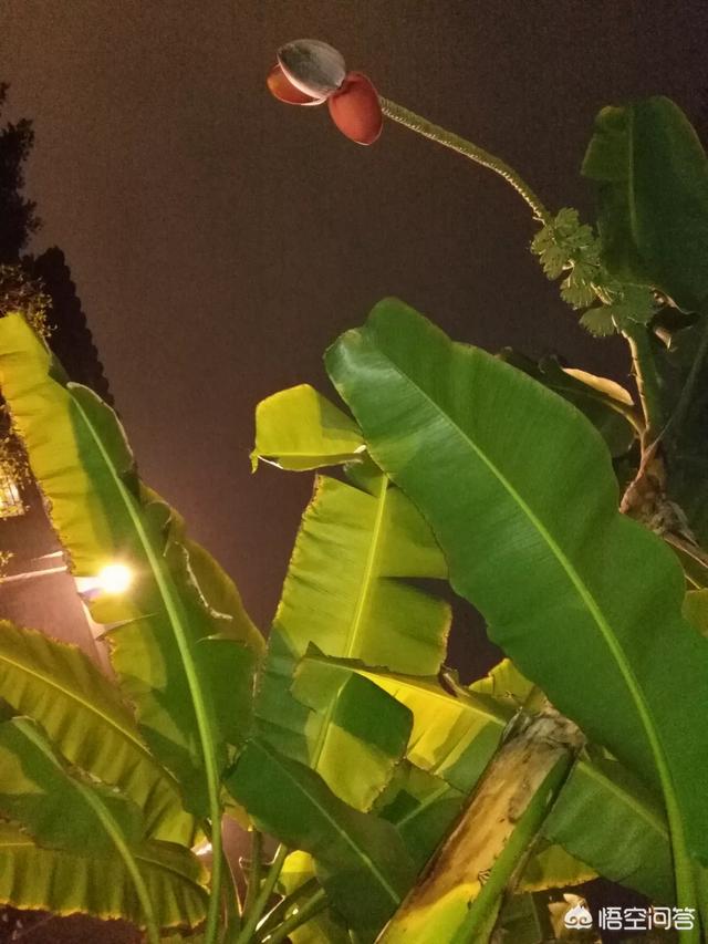 歐美股市重挫時,A股行情會是怎樣的? - 第13張