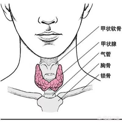 甲亢突眼症能治愈么:甲亢突眼能治疗好吗，应该注意什么？