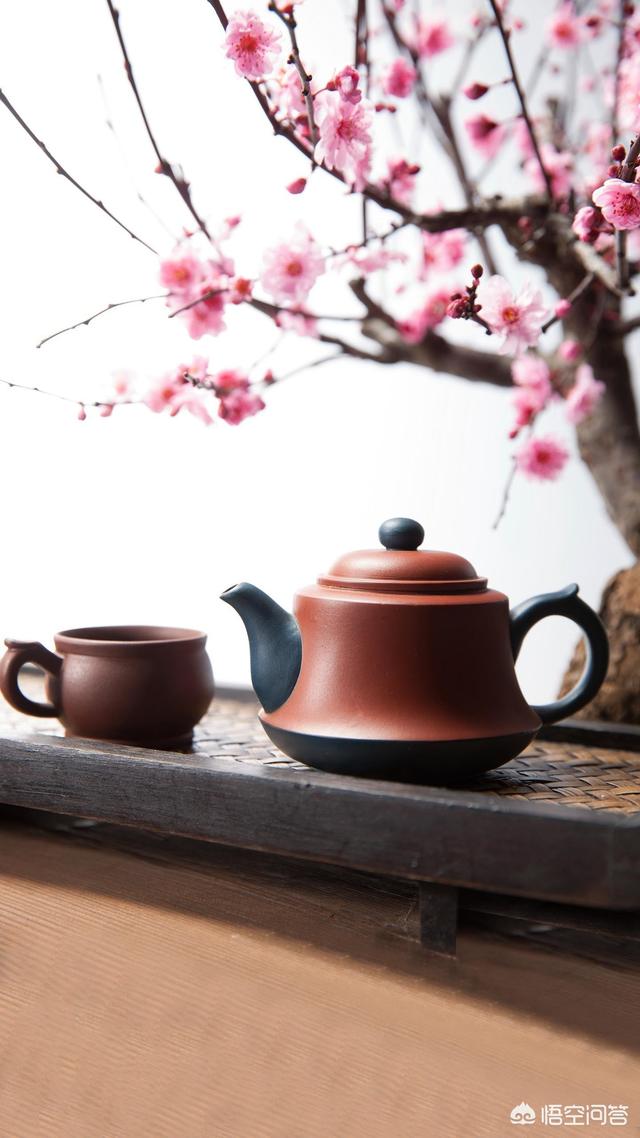 松溪绿茶(松溪绿茶多少钱一斤)