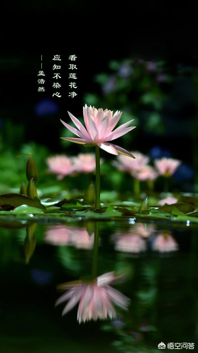 十一个多月的宝宝除了吃奶粉还可以吃什么？