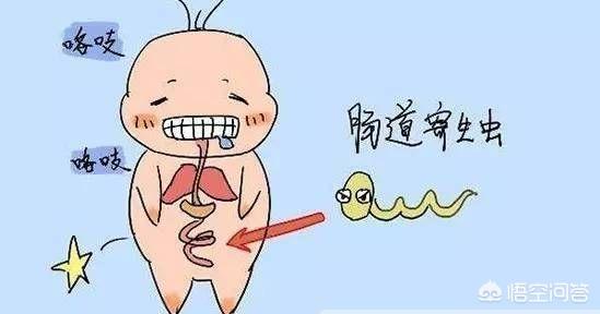 头条问答 海鲜真的没寄生虫吗 健识局的回答 0赞
