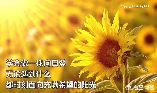有哪些经典<a href=https://maguai.com/list/46-0-0.html target=_blank class=infotextkey>语录</a>一直激励着你