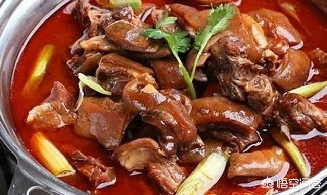 犬俊介君的微博:林丹呼吁不吃狗肉，狗肉真的不应该吃吗？ 萌犬俊介君视频