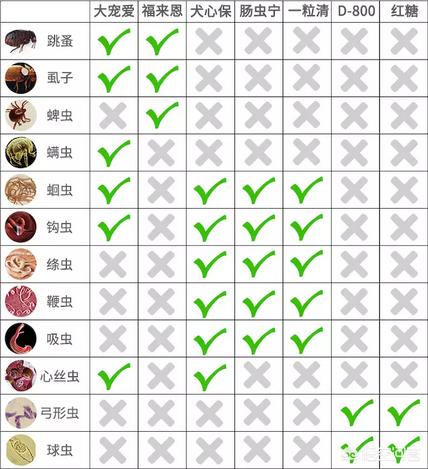 狗身上的吸血虫:狗狗长蟞虫用什么药效果好？