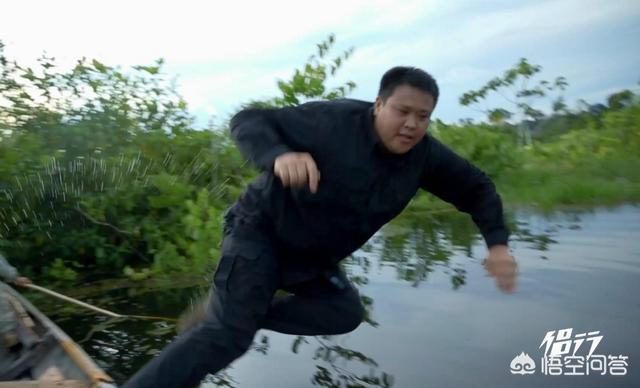 食人鱼图片:10年后柳州再次出现“食人鲳”，它是哪里来的？真的会吃人吗？