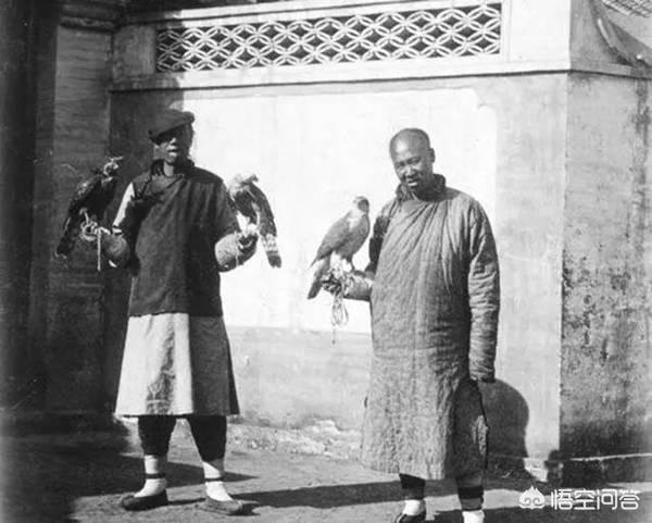 优爵狗粮官网:清代的皇族为什么有黄带子和红带子的区别？
