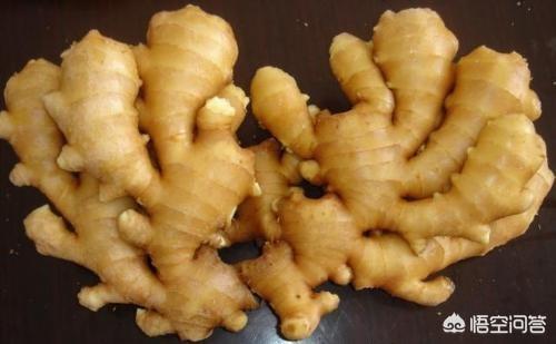 做菜放生姜、料酒等辅料有什么作用？