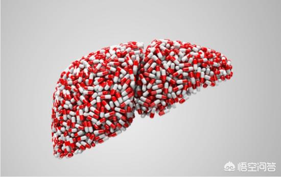 尿酸高能吃补肾的药吗，长期服用降尿酸的药应该怎么样补肝补肾？