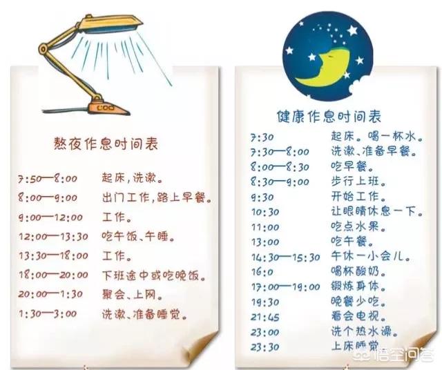 夜猫族(夜猫族什么意思)