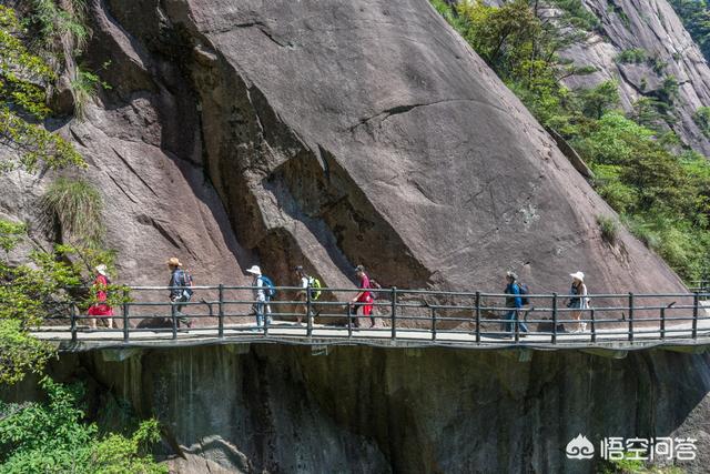 相思鸟图片:登三清山累，还是黄山累？