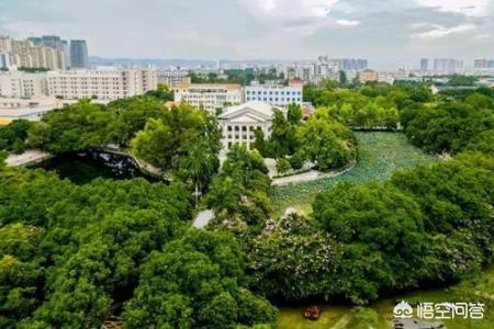 豆柴小犬资源:在大学学习成绩好有什么用？ 豆柴小犬电影
