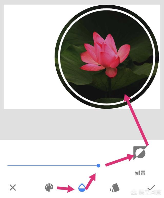 怎么用手机修图软件snapseed给荷花照片修出圆形相框