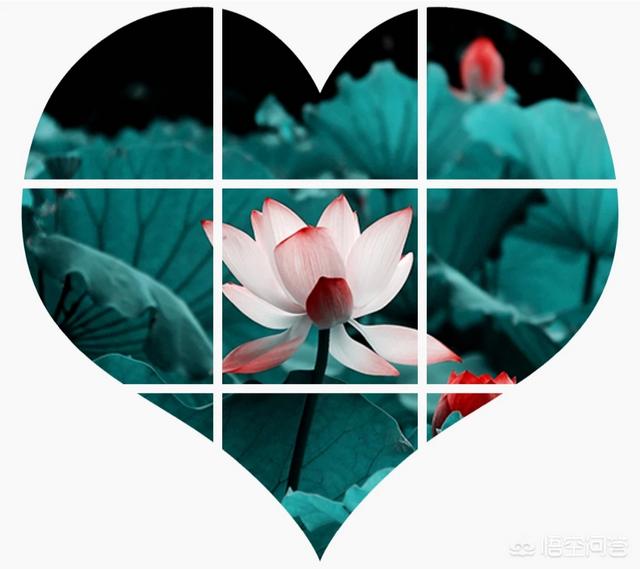 <a href=https://maguai.com/list/256-0-0.html target=_blank class=infotextkey><a href=https://maguai.com/list/256-0-0.html target=_blank class=infotextkey>朋友圈</a></a><a href=https://maguai.com/list/57-0-0.html target=_blank class=infotextkey><a href=https://maguai.com/list/57-0-0.html target=_blank class=infotextkey>创意</a></a>九宫格配图:怎么用手机修图软件，把图片做成九宫格来发<a href=https://maguai.com/list/256-0-0.html target=_blank class=infotextkey><a href=https://maguai.com/list/256-0-0.html target=_blank class=infotextkey>朋友圈</a></a>？