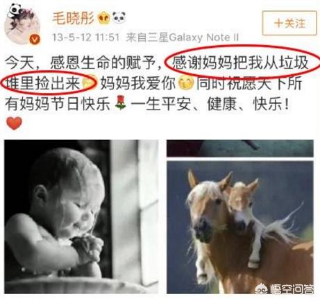 毛晓彤赡养案最终结果:儿时母亲和别人私奔了现对方已故母亲想重回家庭要求赡养该怎么办