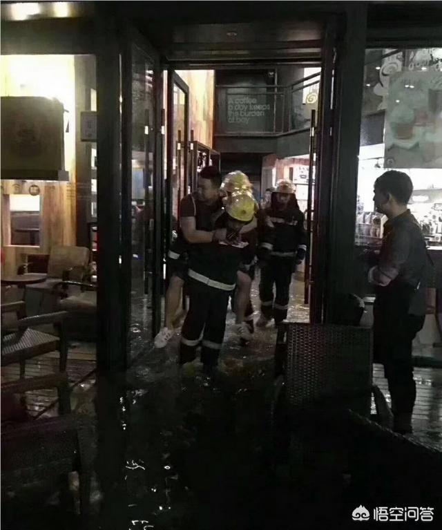 消防员救狗跳粪坑:怎么看待兰州突降暴雨，消防员营救“巨婴”？