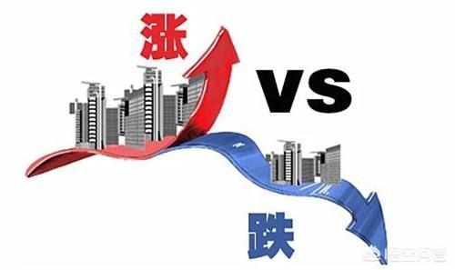 盐城宠物店分布:在盐城市区，目前哪个区域的房产值得投资？
