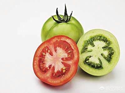 非洲牛蛙突然拒食:全球最毒的十种食物是什么？