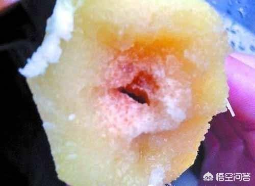 非洲牛蛙突然拒食:全球最毒的十种食物是什么？