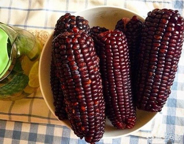这种玉米粒的另类吃法你知道吗，黑玉米的特殊吃法有哪些？