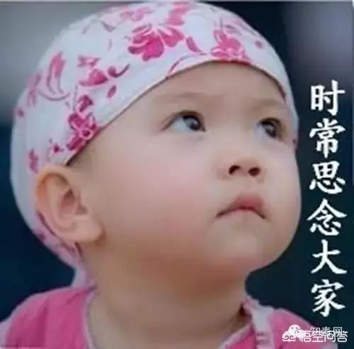 宴安鸩毒的意思:上联：喜鹊错借醋，下联怎么对？