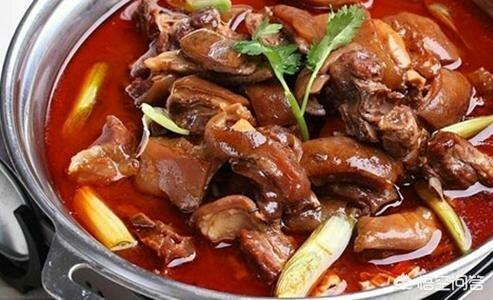 刚看了四川宜宾虐狗门:为什么有的人受不了别人吃狗肉？