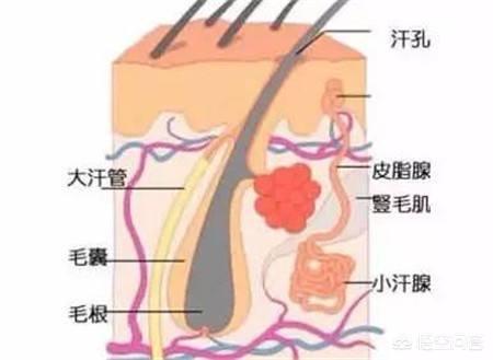 无毛猿百度:程序员遇到百度不出来的bug都是怎么解决的？