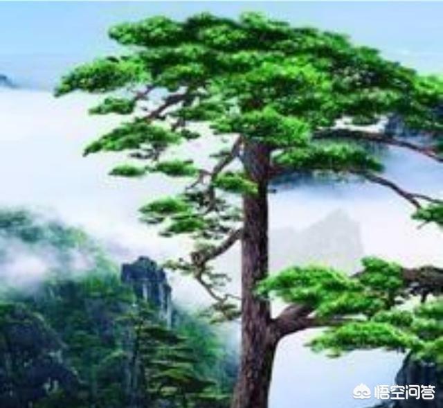 赵又廷哥哥:东北籍的明星艺人当中，你最喜欢谁？吸引你的地方在哪？