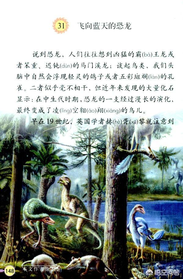 鸟类知识的资料的来源:所有的鸟类都是由一种恐龙演化而来吗？