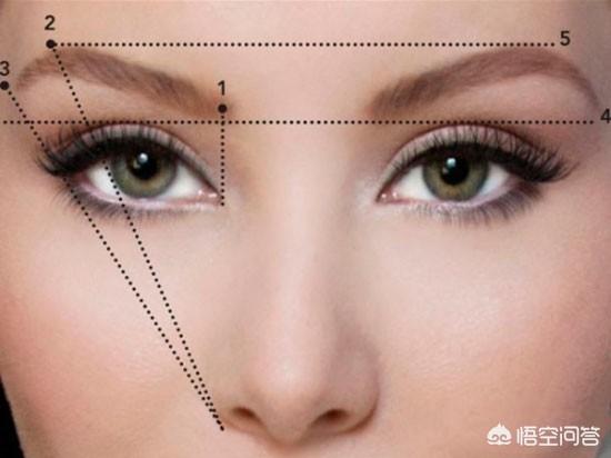 怎样学会眉毛的入门画法呢？插图25