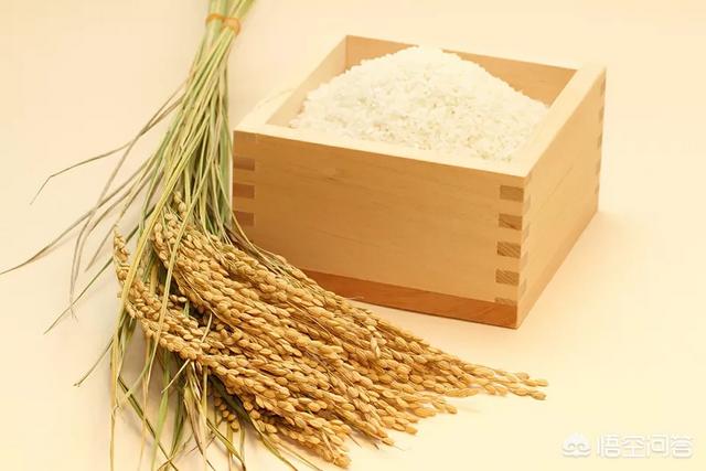 “米”字含义明明是食物,但为什么同时又是长度单位呢？