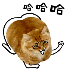 流浪狗和流浪猫图片:流浪狗和流浪猫在线阅读 看到流浪猫和狗就爱喂点吃的，流浪狗把人咬了。自己用负责吗？