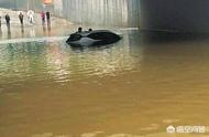 漯河一市民车被淹，保险公司称理赔要开暴雨证