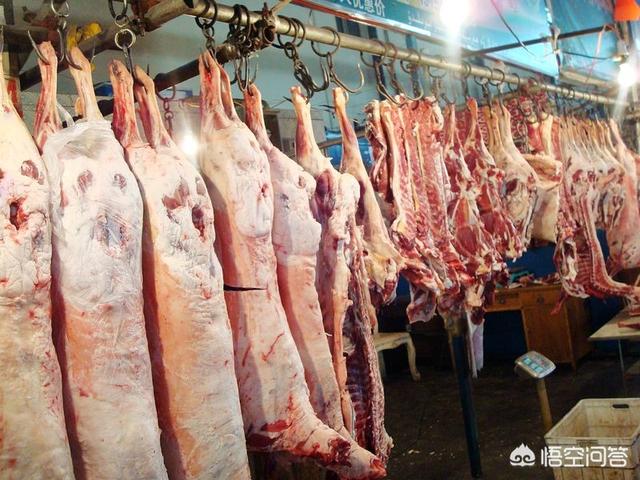 新疆羊肉为啥基本没膻味，甘肃、新疆和宁夏哪个地方的羊肉最好吃