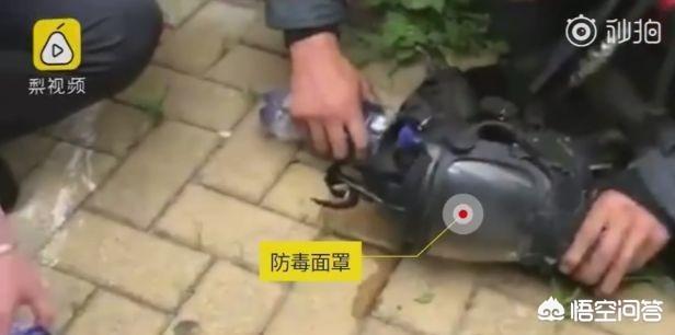一家四口救狗值不值:如果你的狗狗生病了，需要花数万元，你会把它扔了吗？ 一家四口救狗