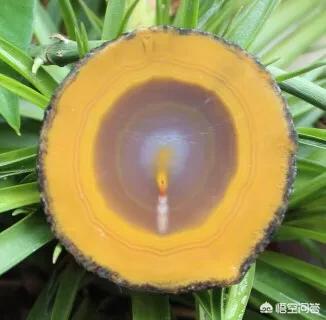 怎样的石头是玉石,什么样的石头被称为“玉石”和“玛瑙”？