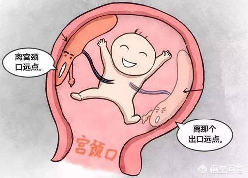 容离:前壁好生还是后壁好生有哪些依据