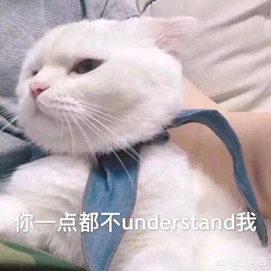 怎样和女生聊天才能不把天聊死(怎样聊天不把天聊死)