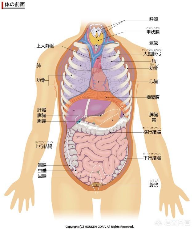 否则麻醉不管用?(8个回答)