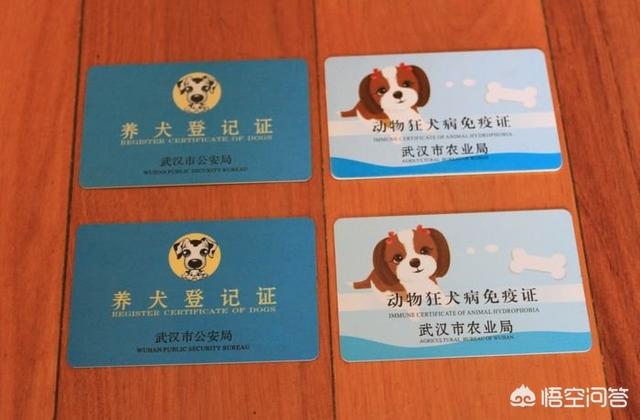 广州养狗要登记吗:如何给自家狗狗办理狗证？