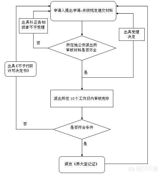 广州养狗要登记吗:如何给自家狗狗办理狗证？