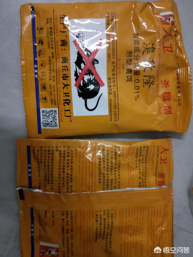 如何消灭下水管道里的老鼠？
