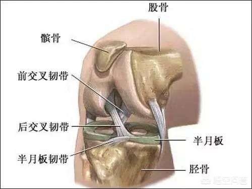 韧带断裂缝合后多久拆:骨折打了石膏，要多少天才能拆石膏？