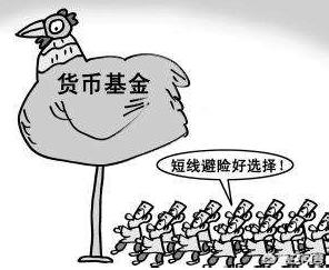 货币基金怎么样:货币基金是什么