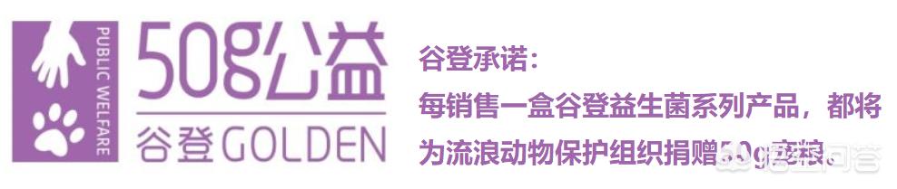 怎样训练金毛狗:如何系统性地增强一只金毛犬的战斗力？