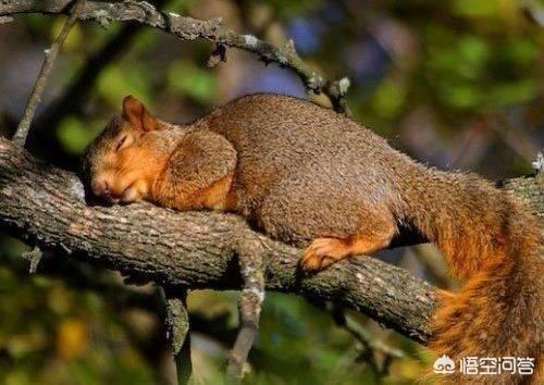 上联蝉送秋凉早怎么对下联