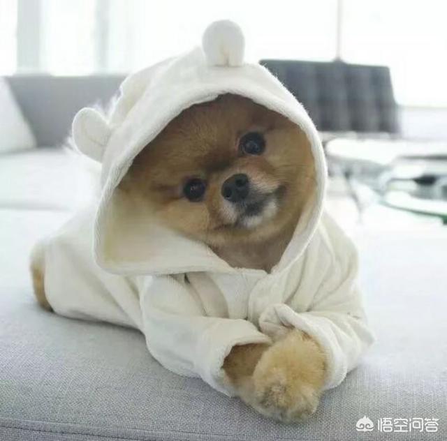 狂犬病症状有眼睛发红吗:如果被小狗舔到嘴唇以及内部会得狂犬病吗？
